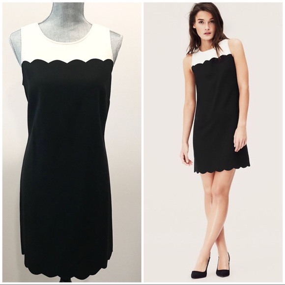 LOFT Dresses & Skirts - NWOT LOFT Scalloped Colorblock Shift Dress 10